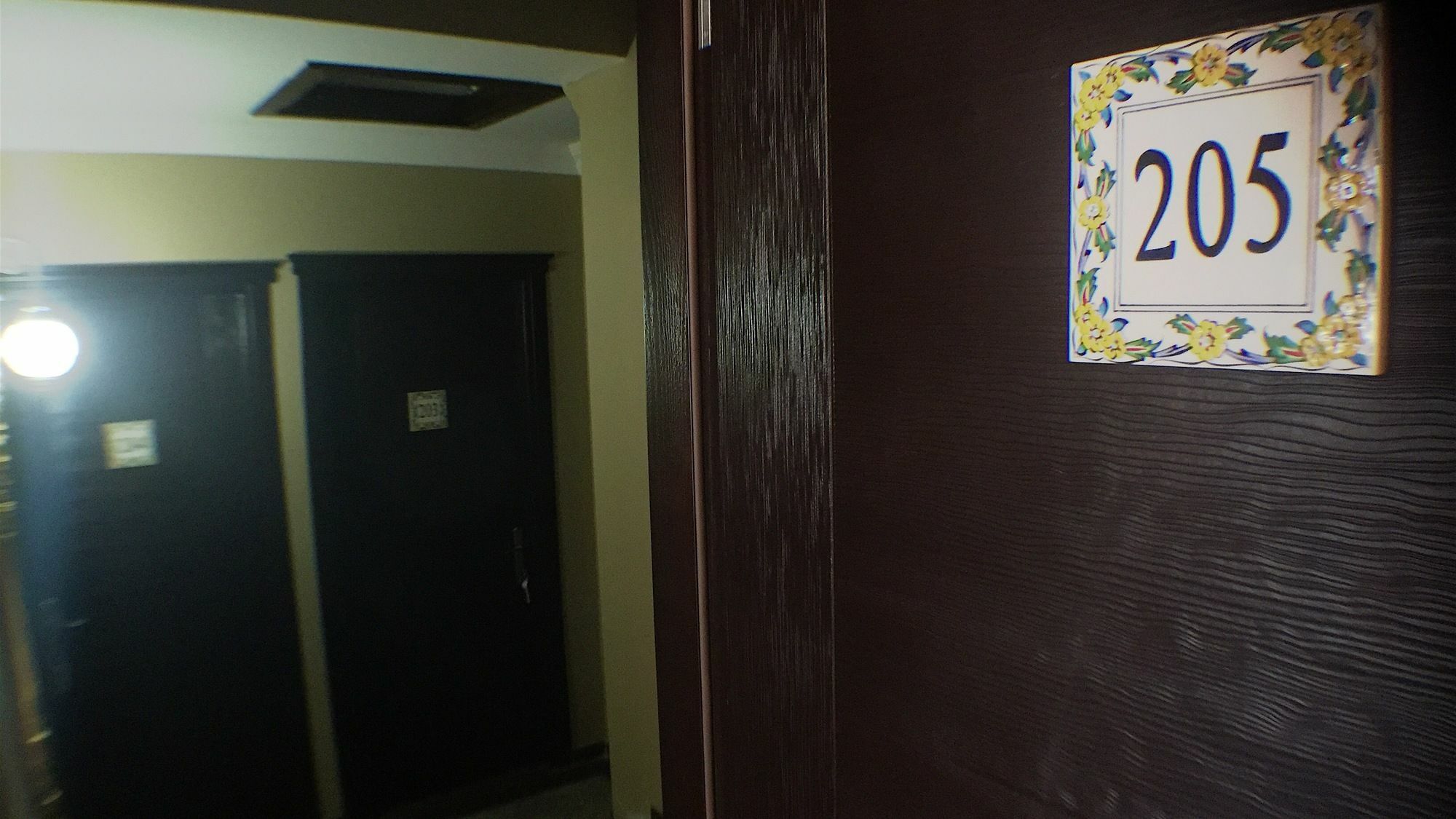 Hayriye Hanim Ege Ayvalı Buitenkant foto